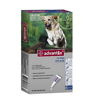 Advantix Large Dogs over 55 Lbs - 4 Doses