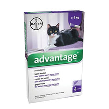 Advantage Large Cat over 10 Lbs - 4 Doses