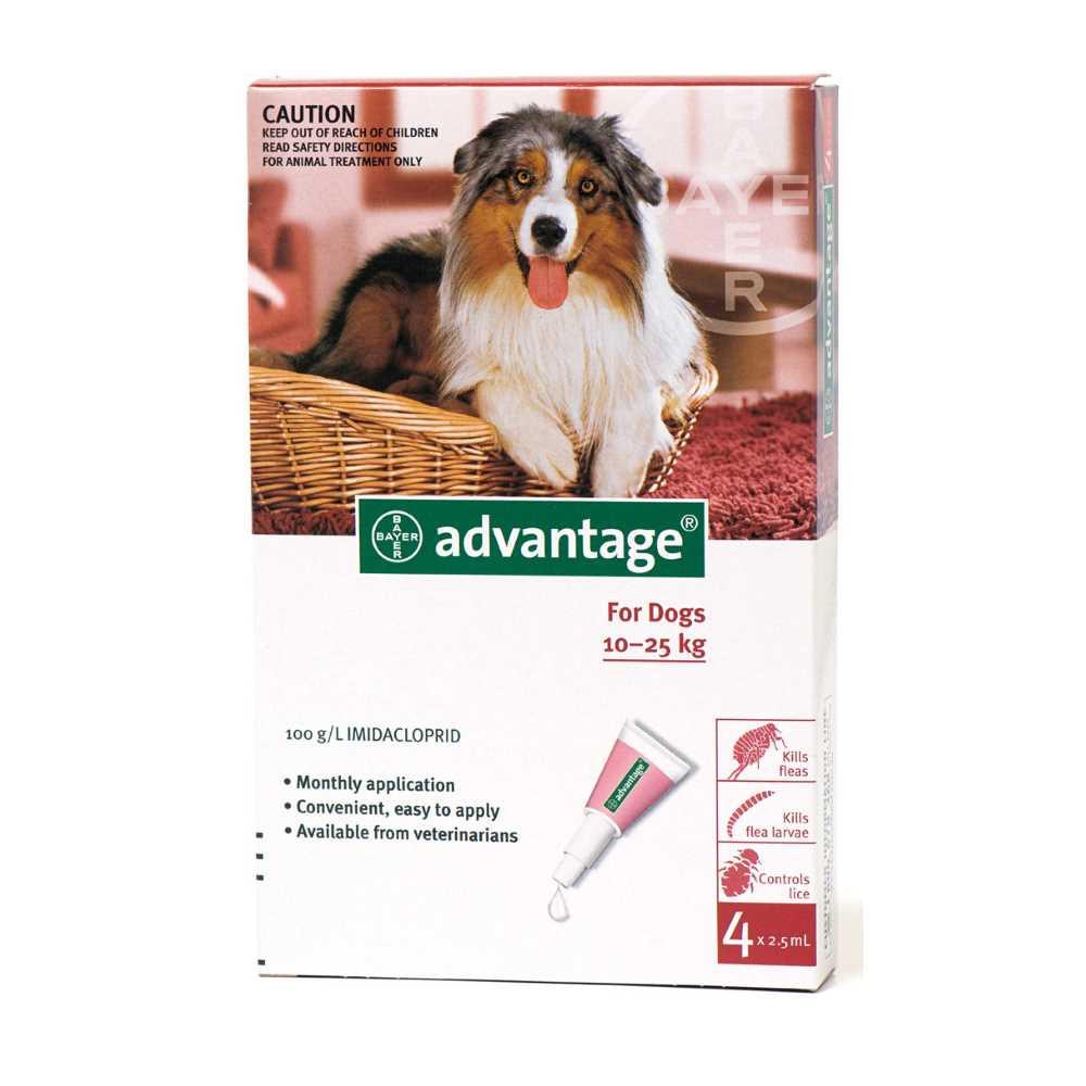 Advantage Large Dogs 21 - 55 Lbs - 4 Doses