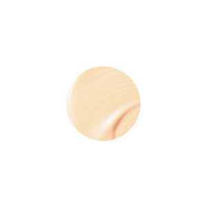 Vichy Dermafinish (Dermablend) Corrective Foundation SPF 30 1 fl oz