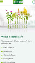 Medical Futures Inc. - Iberogast® 100 ml 3.4 oz